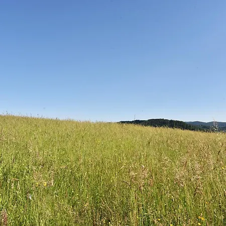 Gorski Brlog - Kuce Za Odmor Vila