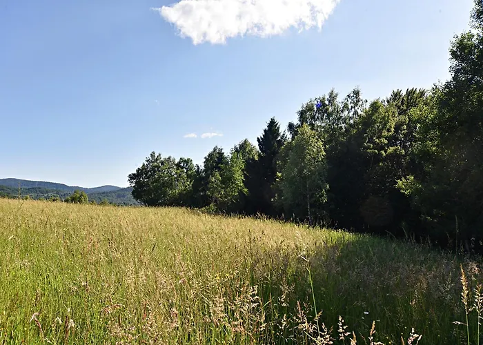 Villa Gorski Brlog - Kuce Za Odmor Kupjak