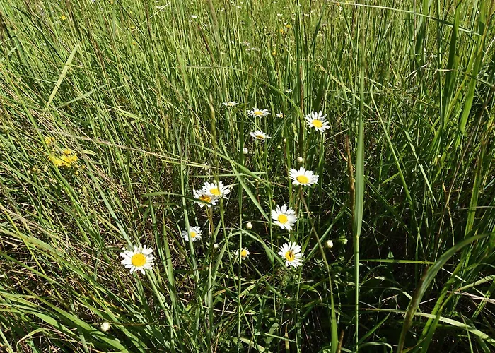 Vila Gorski Brlog - Kuce Za Odmor
